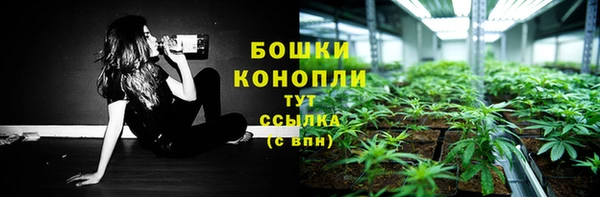 mdpv Богородск