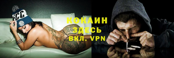 сатива Белоозёрский