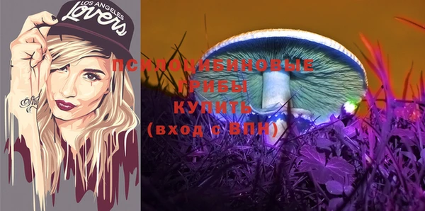 spice Рославль