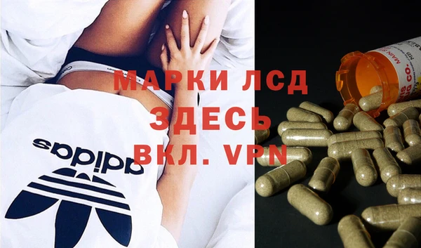 экстази Болотное