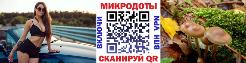 купить наркотик  Зуевка  гидра вход  Галлюциногенные грибы мицелий 